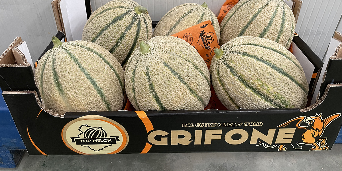 Impero, il melone retato di Bayer crea sinergia lungo la filiera
